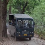 Corbett Canter Safari