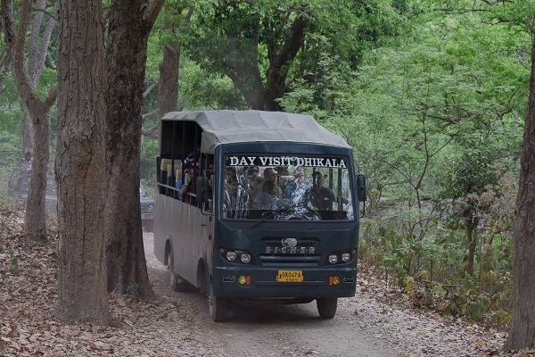 Corbett Canter Safari