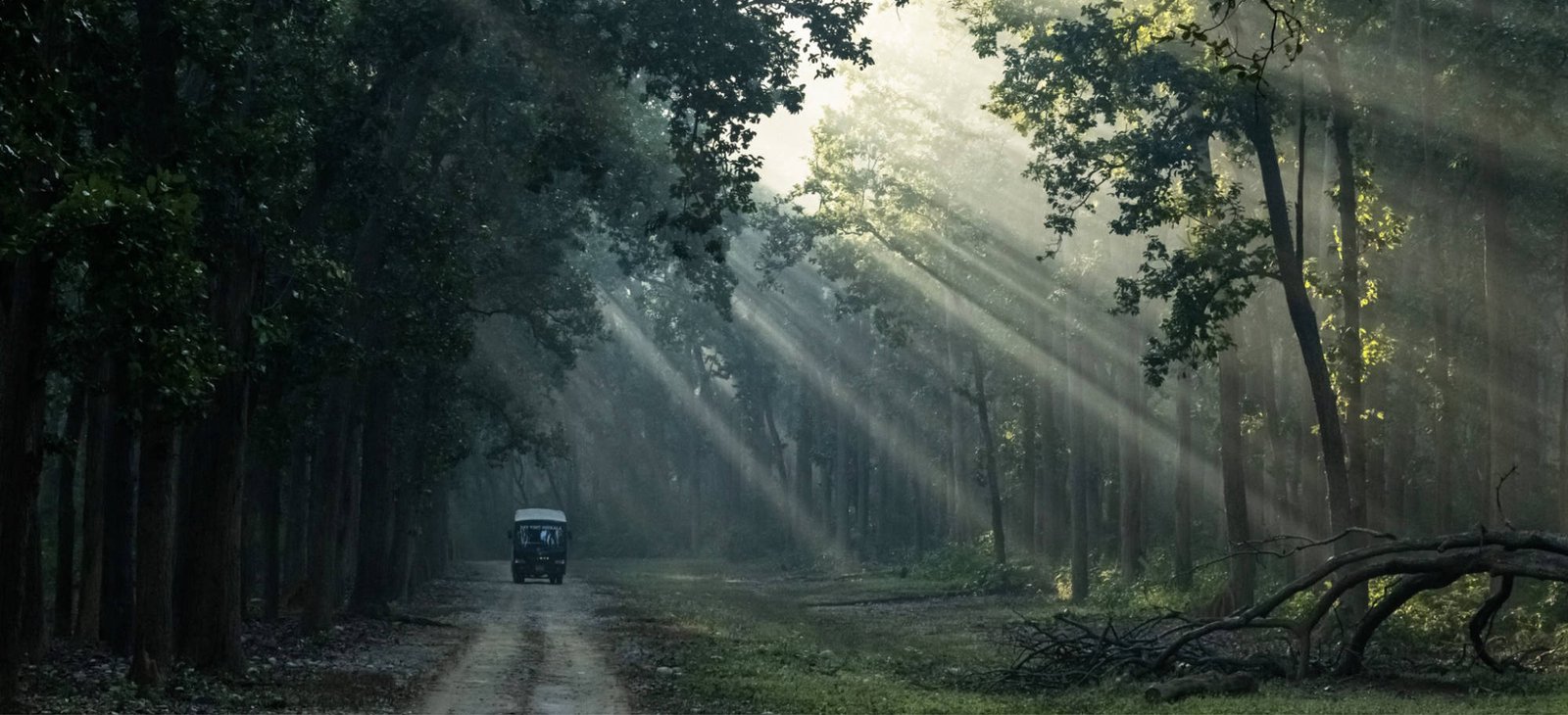 Open-top jeep safari vehicle in Jim Corbett National Park, near the Durga Devi safari zone